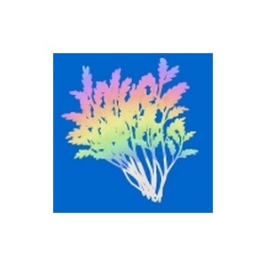 Rainbow Coral Feeder